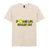 Softstyle™ adult ringspun t-shirt Thumbnail