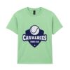 Heavy Cotton™ youth t-shirt Thumbnail