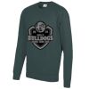 AWDis Academy Kids Raglan Sweatshirt Thumbnail